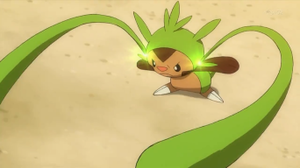 Chespin usando látigo cepa.