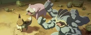 VM03 Eevee, Slowpoke y Machamp.jpg