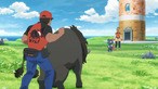 Tauros de Paldea
