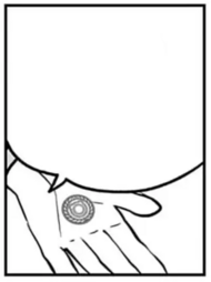 Medalla de Gimnasio Normal.