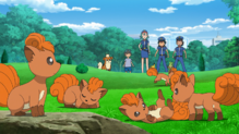 Vulpix