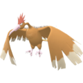 Imagen de Fearow en Pokémon Diamante Brillante y Pokémon Perla Reluciente