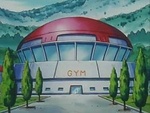Gimnasio Pokémon de Ciudad Cañadorada/Gimnasio Pokémon de Ciudad Trigal.