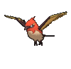 Imagen de Fletchinder variocolor en Pokémon X, Pokémon Y, Pokémon Rubí Omega, Pokémon Zafiro Alfa, Pokémon Sol, Pokémon Luna, Pokémon Ultrasol y Pokémon Ultraluna