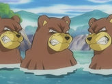 Ursaring