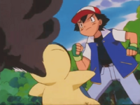 Cyndaquil usando pantallahumo.