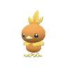 Torchic