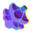 Baya Baribá Dimensional