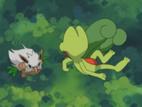 Treecko usando destructor.