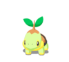 Turtwig
