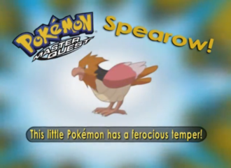 Spearow