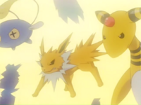 Jolteon y Ampharos usando rayo.