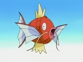 Magikarp