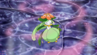 Lilligant de Lusamine/Samina usando dulce aroma.