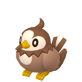 Starly HOME variocolor hembra.png