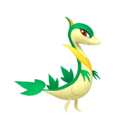 Servine macho