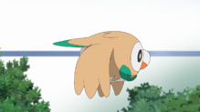 Rowlet