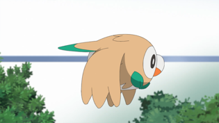 Imagen de Rowlet