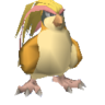 Pidgeot