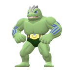 Imagen de Machoke variocolor en Pokémon Diamante Brillante y Pokémon Perla Reluciente