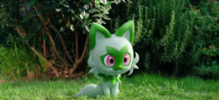Sprigatito