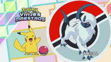 Absol.