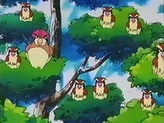 Pidgeotto