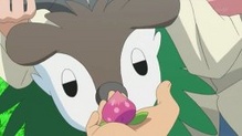 Skiddo