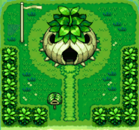 Base de Bulbasaur, Chikorita y Treecko al principio del juego.