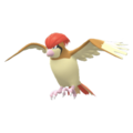 Imagen de Pidgeotto en Pokémon Diamante Brillante y Pokémon Perla Reluciente