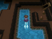 Rizzo usando surf en Pokémon Negro 2 y Blanco 2.