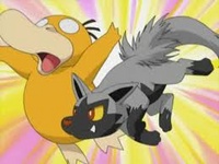 Poochyena usando placaje.