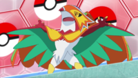 Hawlucha disfrazado.