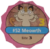 Meowth ficha (PME).png