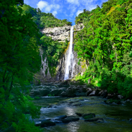 Fondo de Wakayama