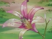 EP031 Flor.png