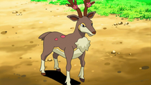 Sawsbuck