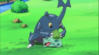 Heracross sorbiendo la savia de Bulbasaur.