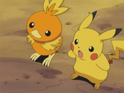 EP349 Pikachu y Torchic.png