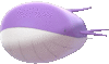 Imagen de Wailord variocolor en Pokémon Espada y Pokémon Escudo
