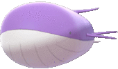 Wailord EpEc variocolor.gif
