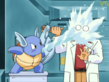 Wartortle