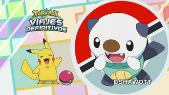 Oshawott.