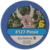 Pinsir ficha (PME).png