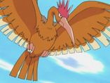 Imagen de Fearow