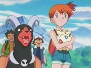 EP182 Houndoom y Misty.png