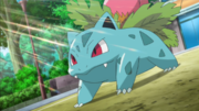 EP893 Ivysaur de Xana.png