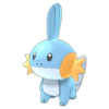 Mudkip Masters.png