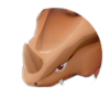 Icono de Rhyhorn macho variocolor en Leyendas Pokémon: Arceus