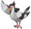 Tranquill.png